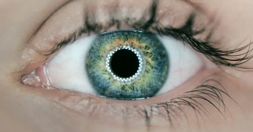 Meta FAIR advances human-like AI